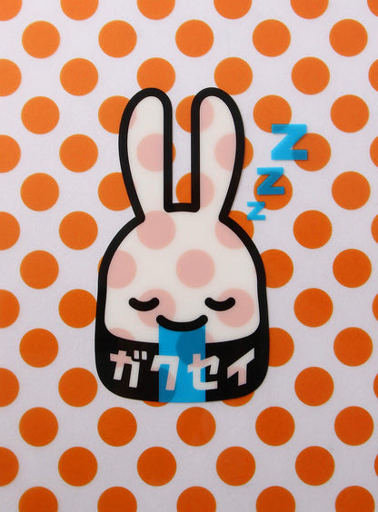 学生クリアファイル10枚セット
