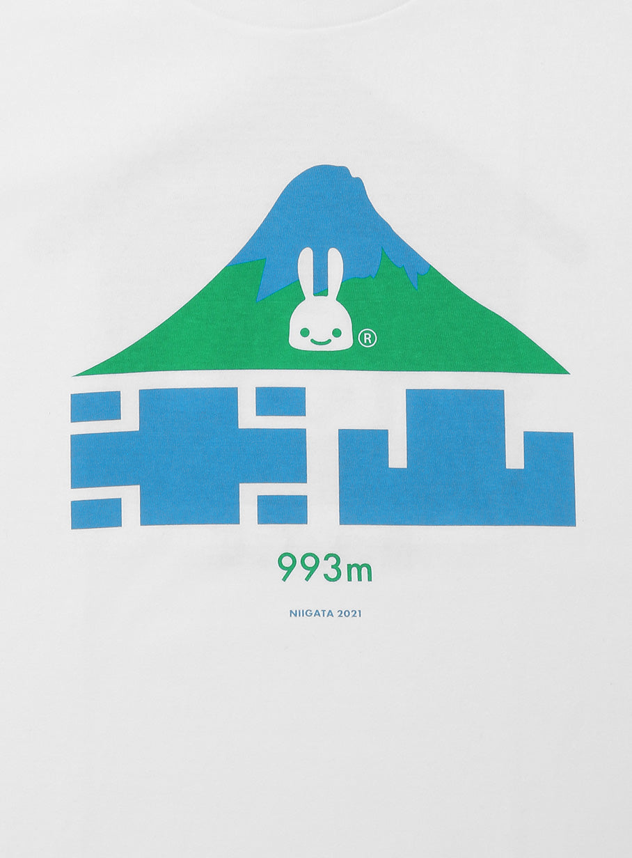 47都道府県Tシャツ 2021 新潟県 米山
