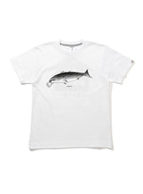 47都道府県Tシャツ 2021 高知県