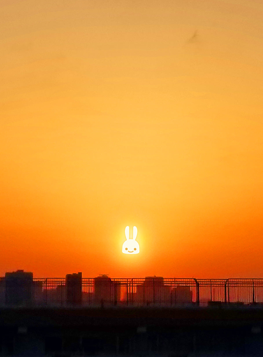 SSSL LS Tee 夕陽