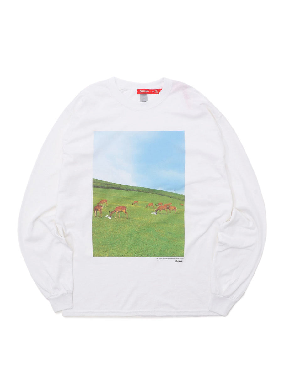SSSL LS Tee 牧場