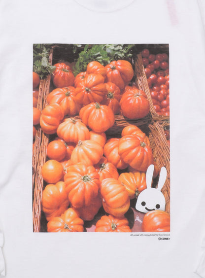SSSL LS Tee かぼちゃ
