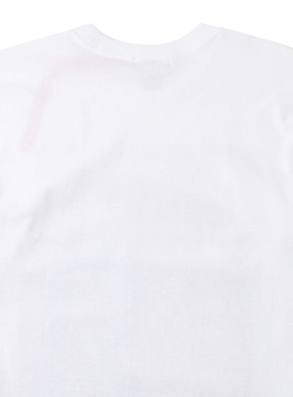 SSSL LS Tee 計測