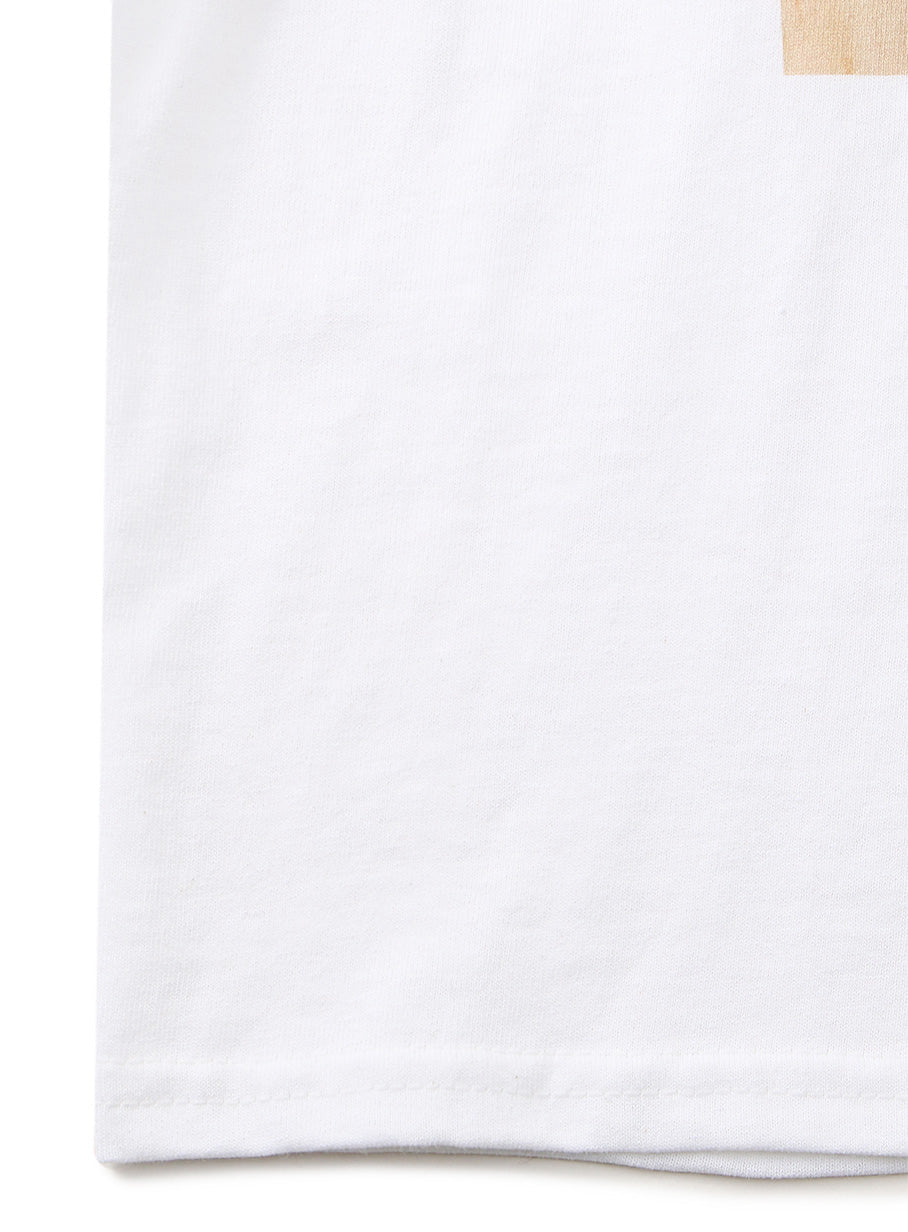 SSSL LS Tee 計測