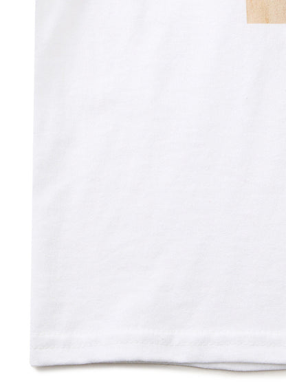 SSSL LS Tee 計測