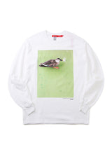 SSSL LS Tee 鴨