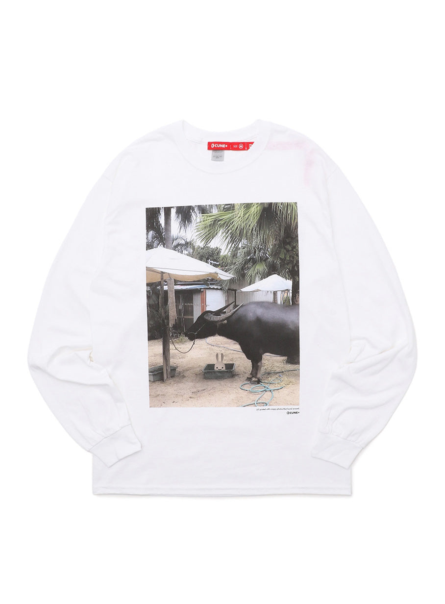 SSSL LS Tee 牛
