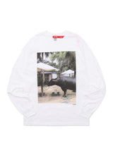 SSSL LS Tee 牛