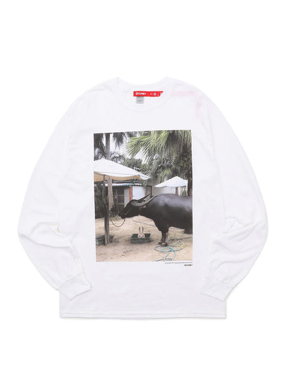 SSSL LS Tee 牛
