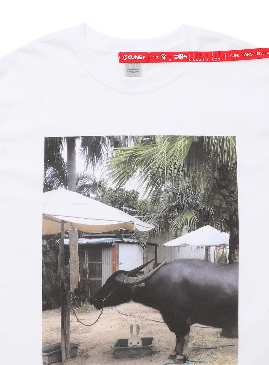 SSSL LS Tee 牛
