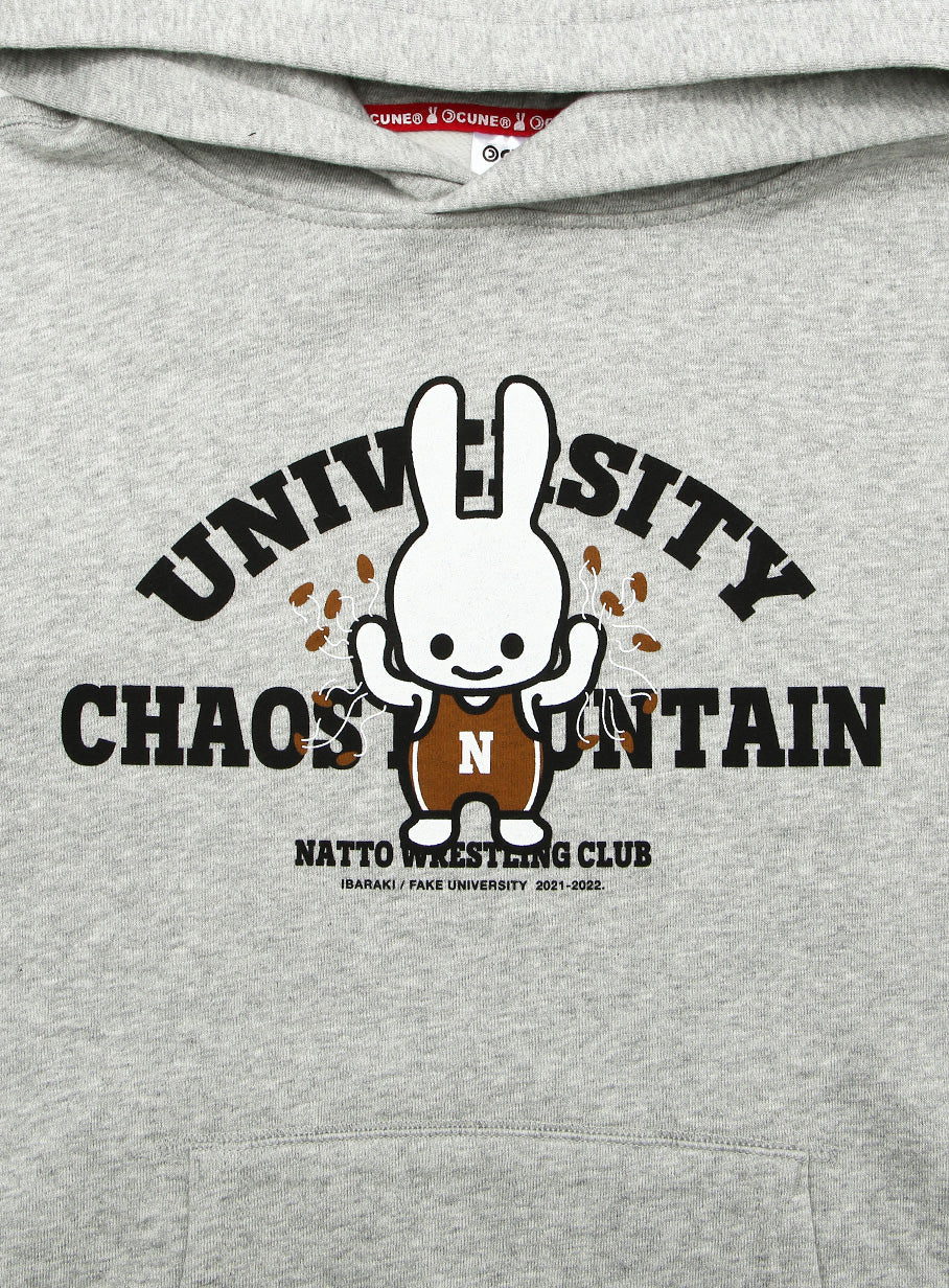 嘘大学パーカー 茨城県