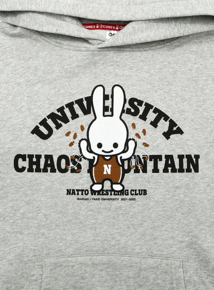 嘘大学パーカー 茨城県