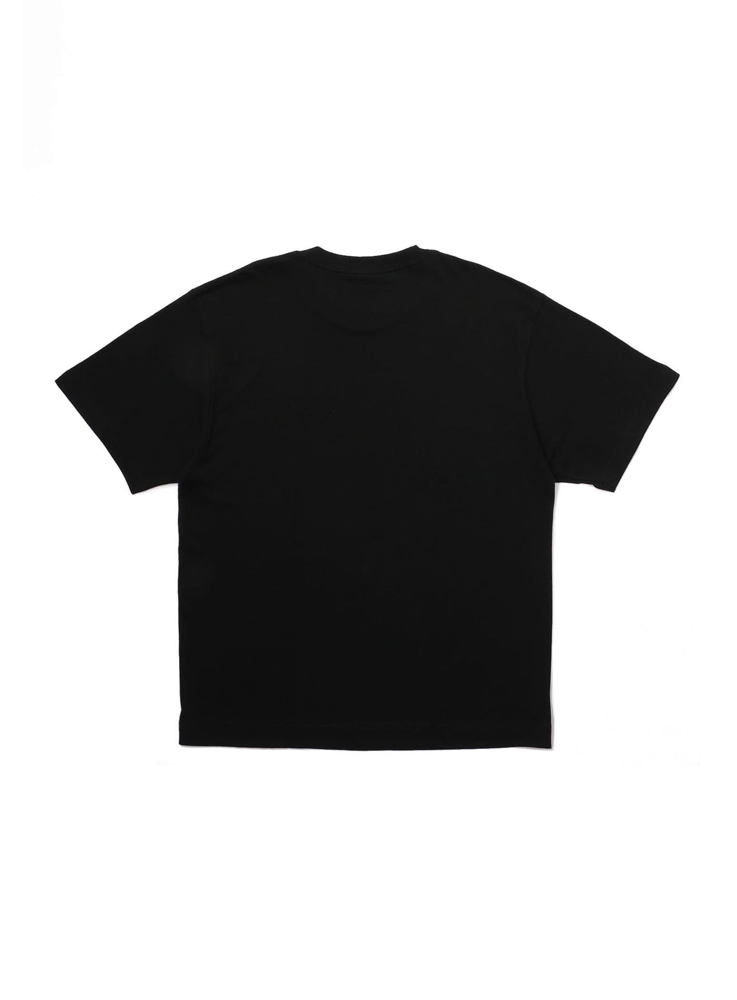 47都道府県Tシャツ 2023 栃木県
