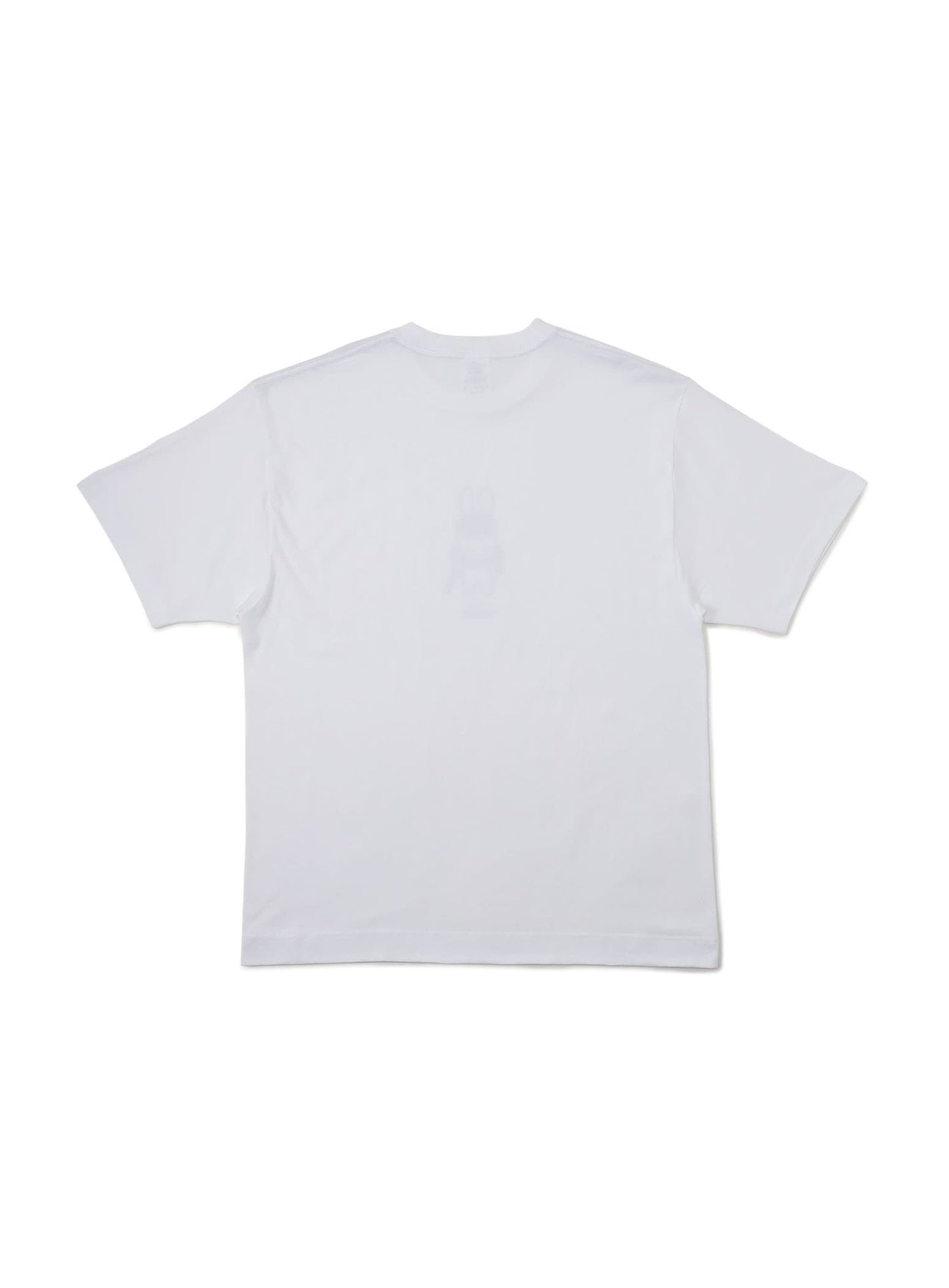 47都道府県Tシャツ 2023 富山県