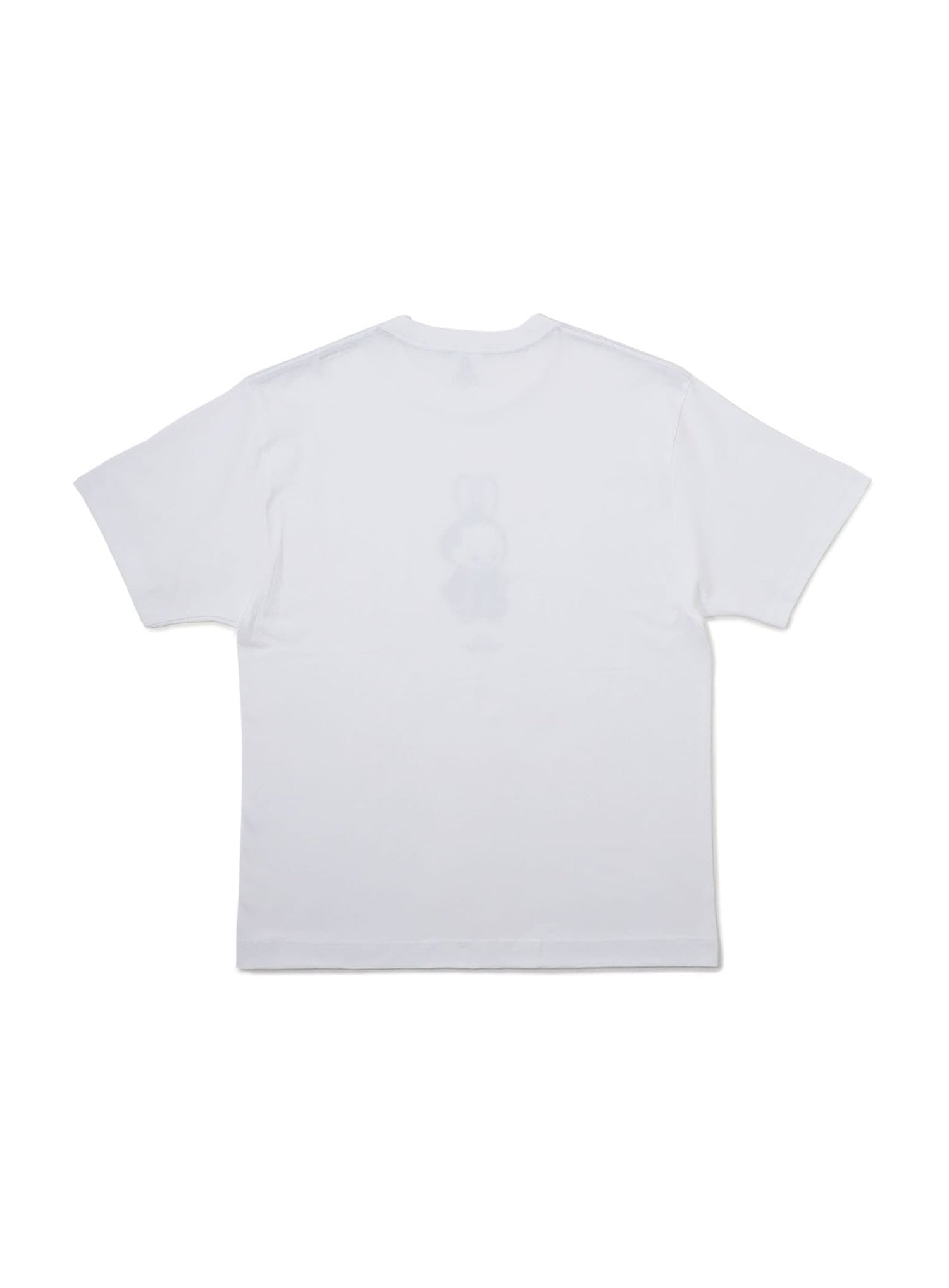 47都道府県Tシャツ 2023 高知県
