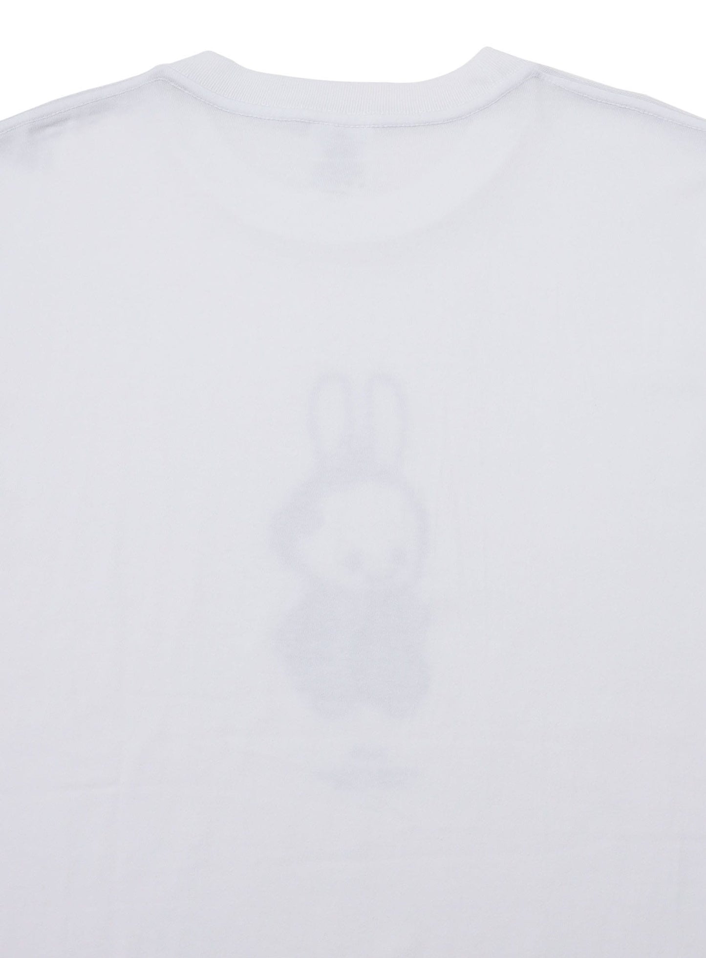 47都道府県Tシャツ 2023 高知県