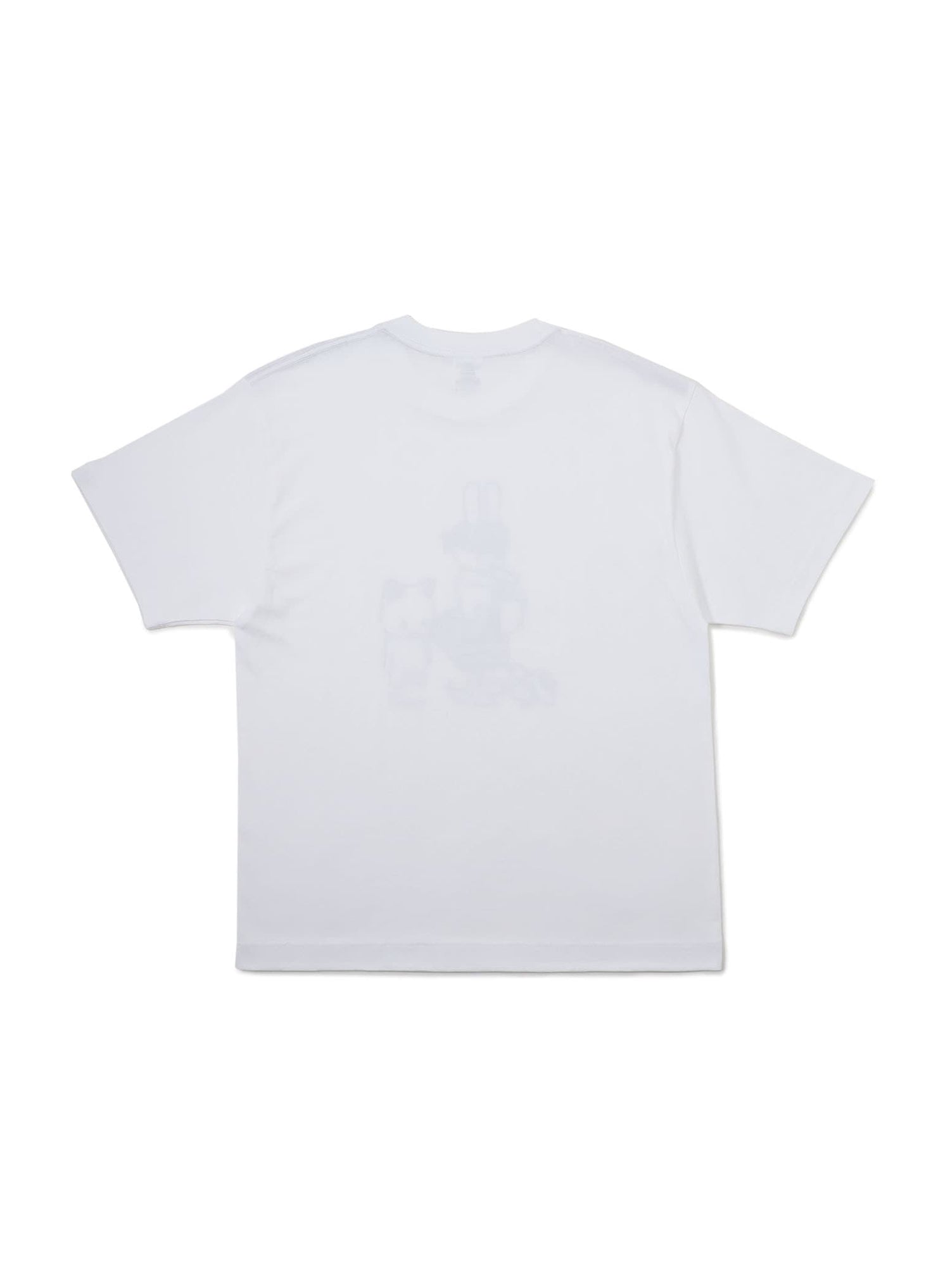 47都道府県Tシャツ 2023 佐賀県