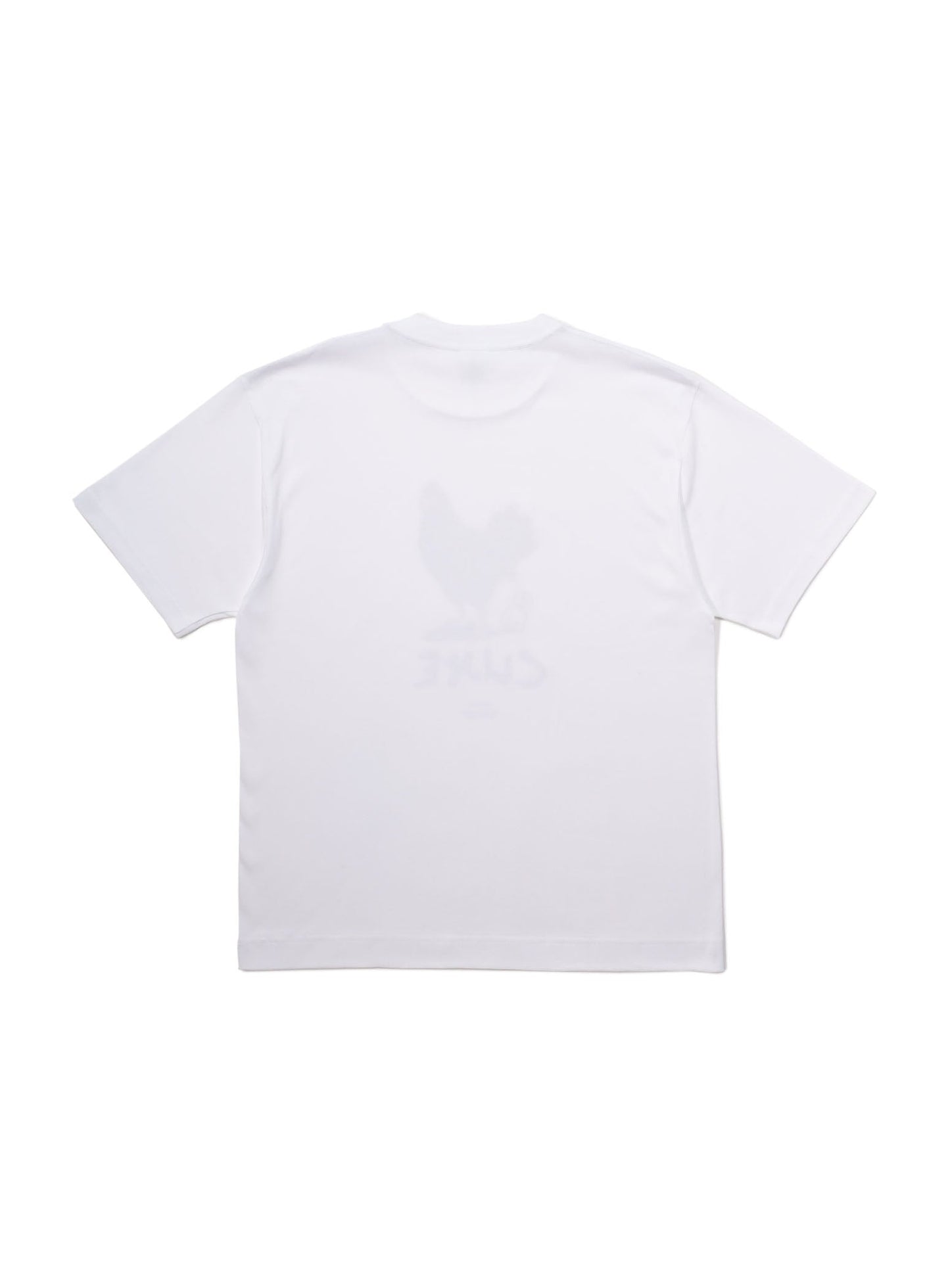 47都道府県Tシャツ 2023 宮崎県