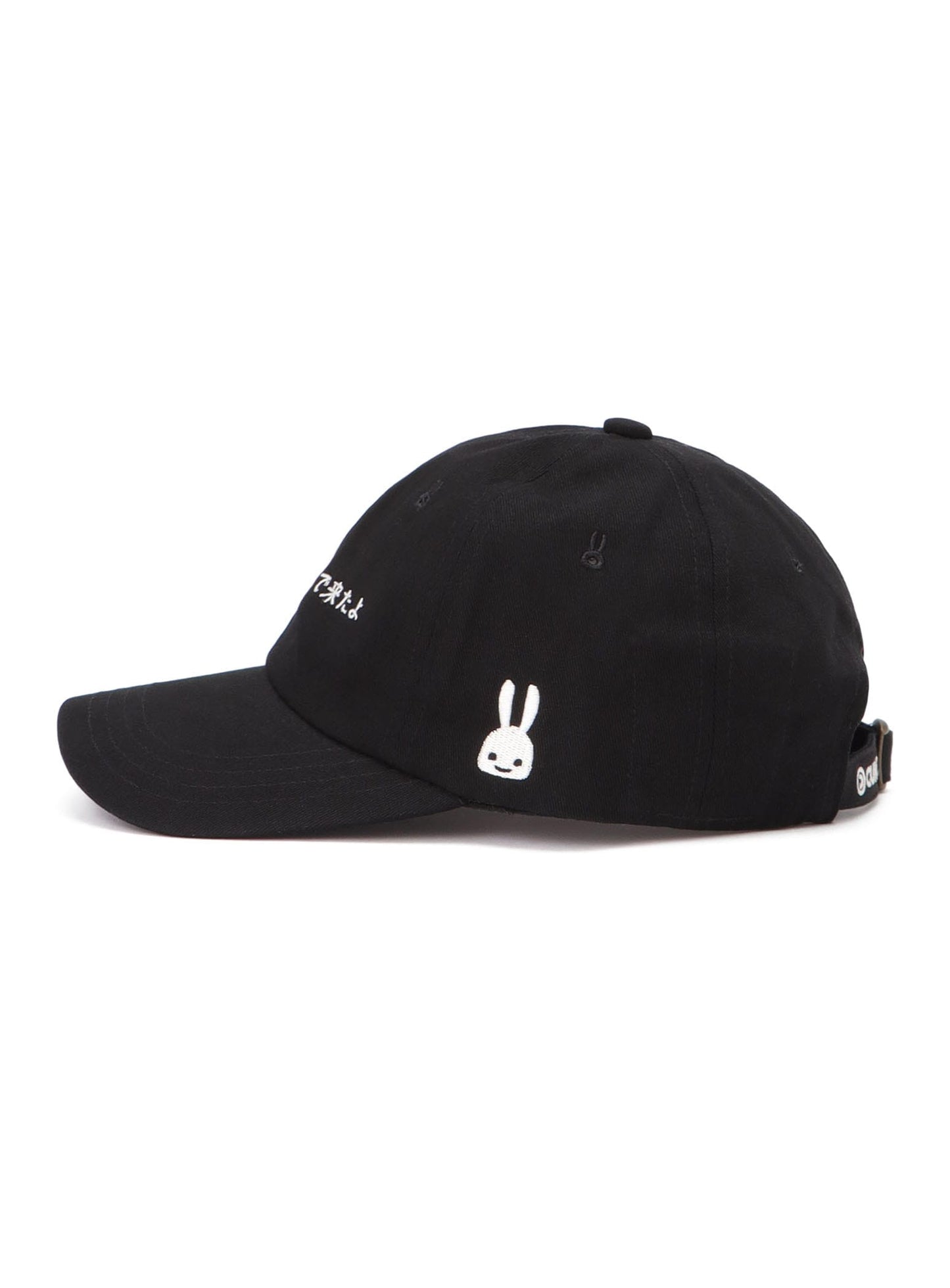 CAP CAME FROM JAPAN BY AIRPLANE