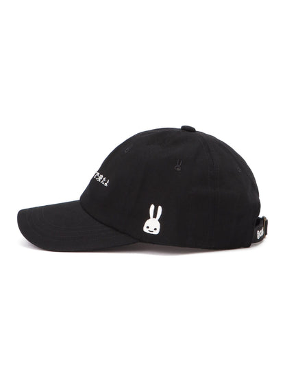CAP CAME FROM JAPAN BY AIRPLANE