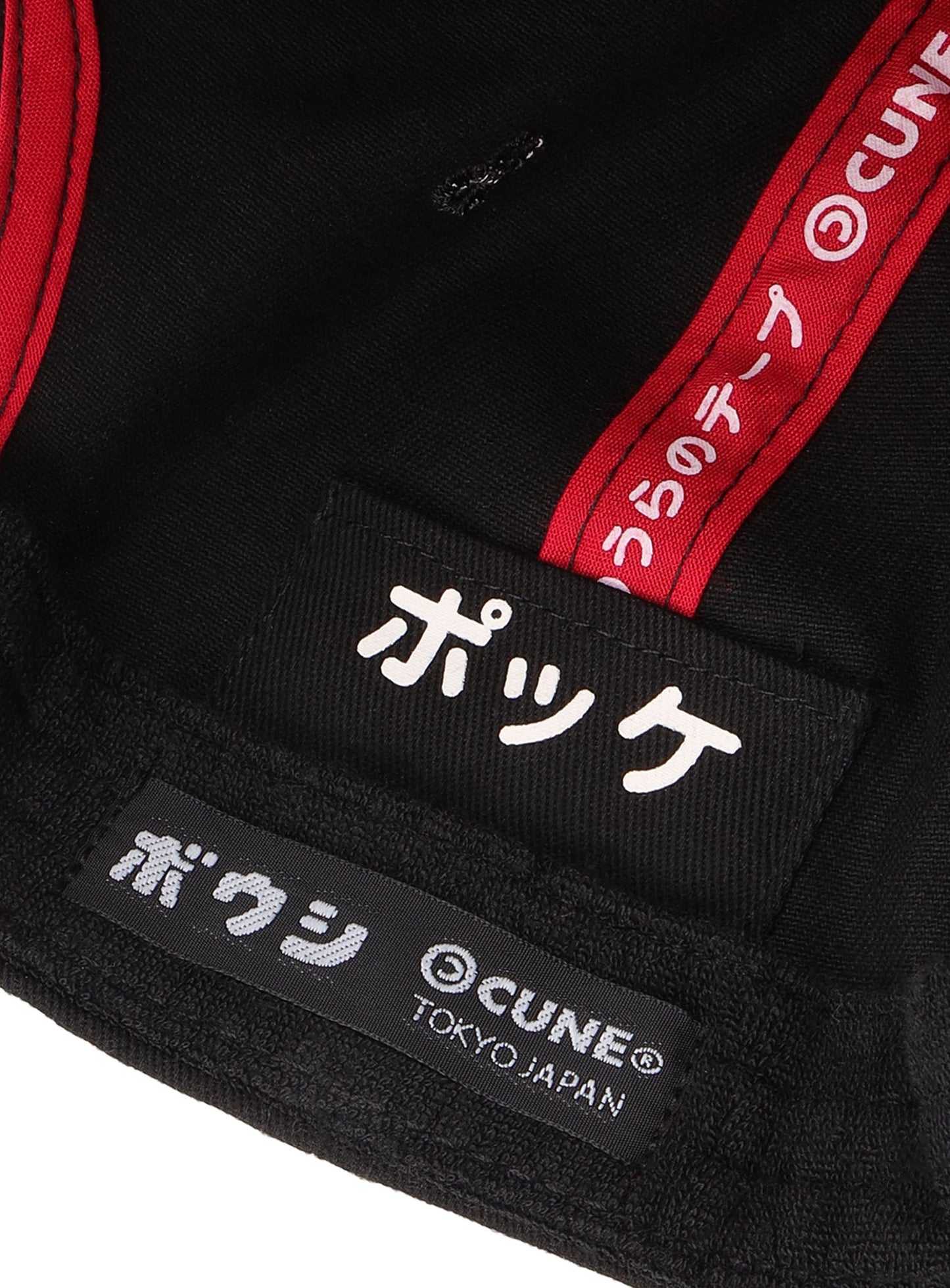 CAP CAME FROM JAPAN BY AIRPLANE