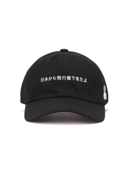 CAP CAME FROM JAPAN BY AIRPLANE