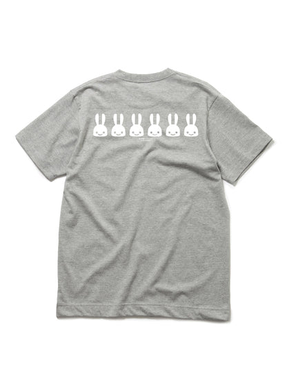 6th Anniv. T-SHIRTS ケーキ