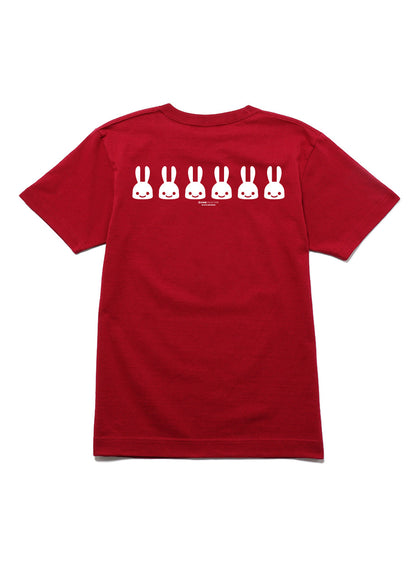 6th Anniv. T-SHIRTS ケーキ