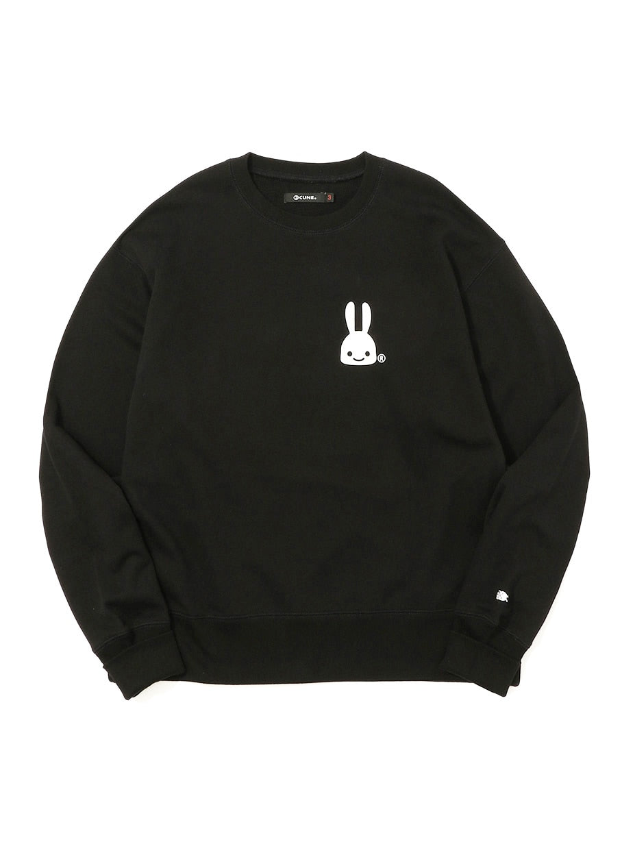 少しいい大きいスウェット ウサギ