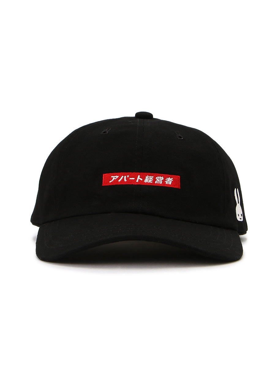 6Pキャップ 20A1 アパート経営者