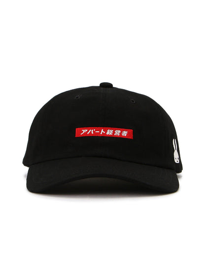 6Pキャップ 20A1 アパート経営者