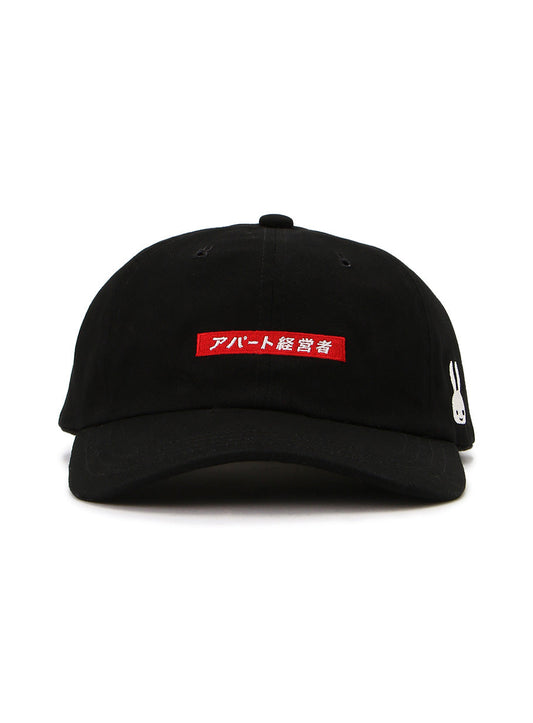 6Pキャップ 20A1 アパート経営者