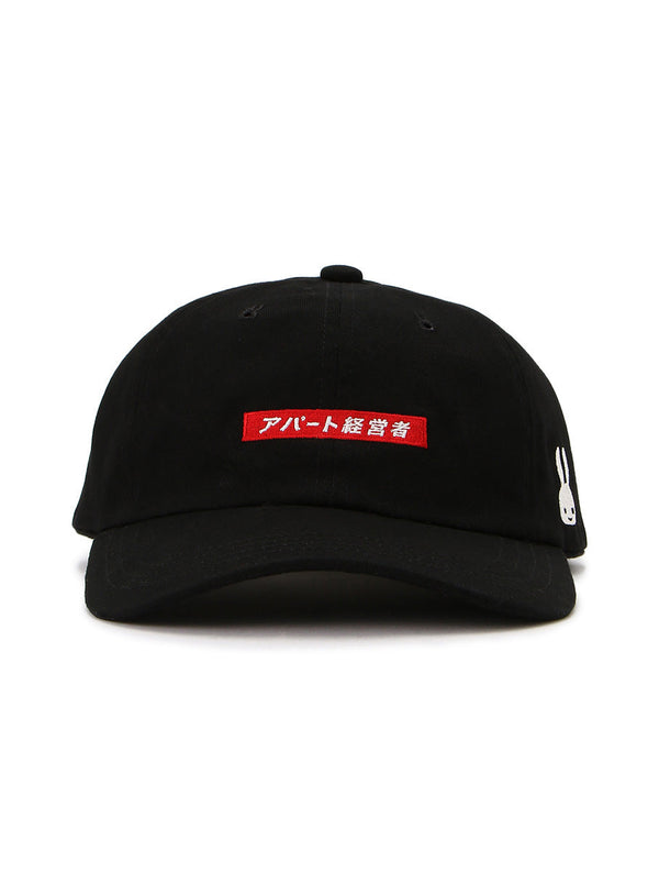 6Pキャップ 20A1 アパート経営者