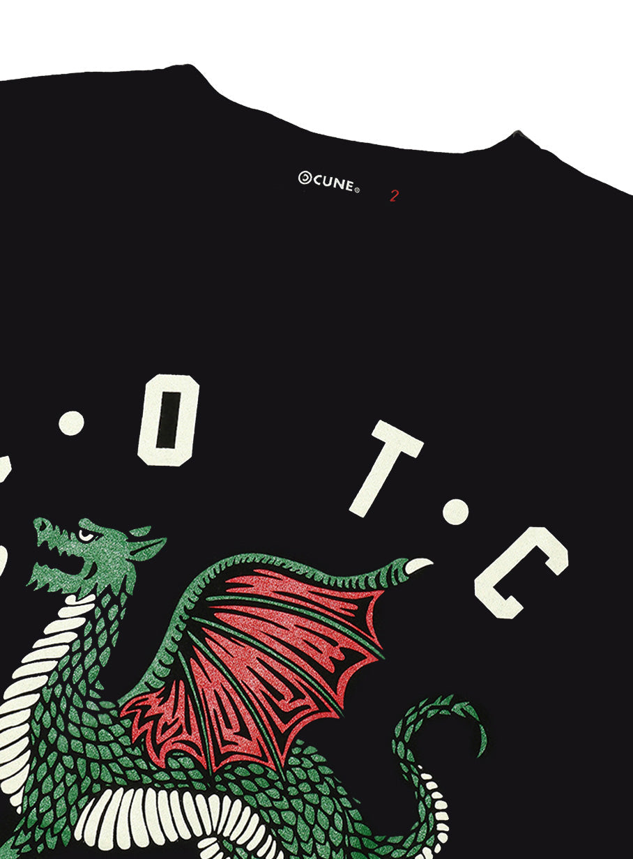 ちょっといいTシャツ 19A1 ドラゴン