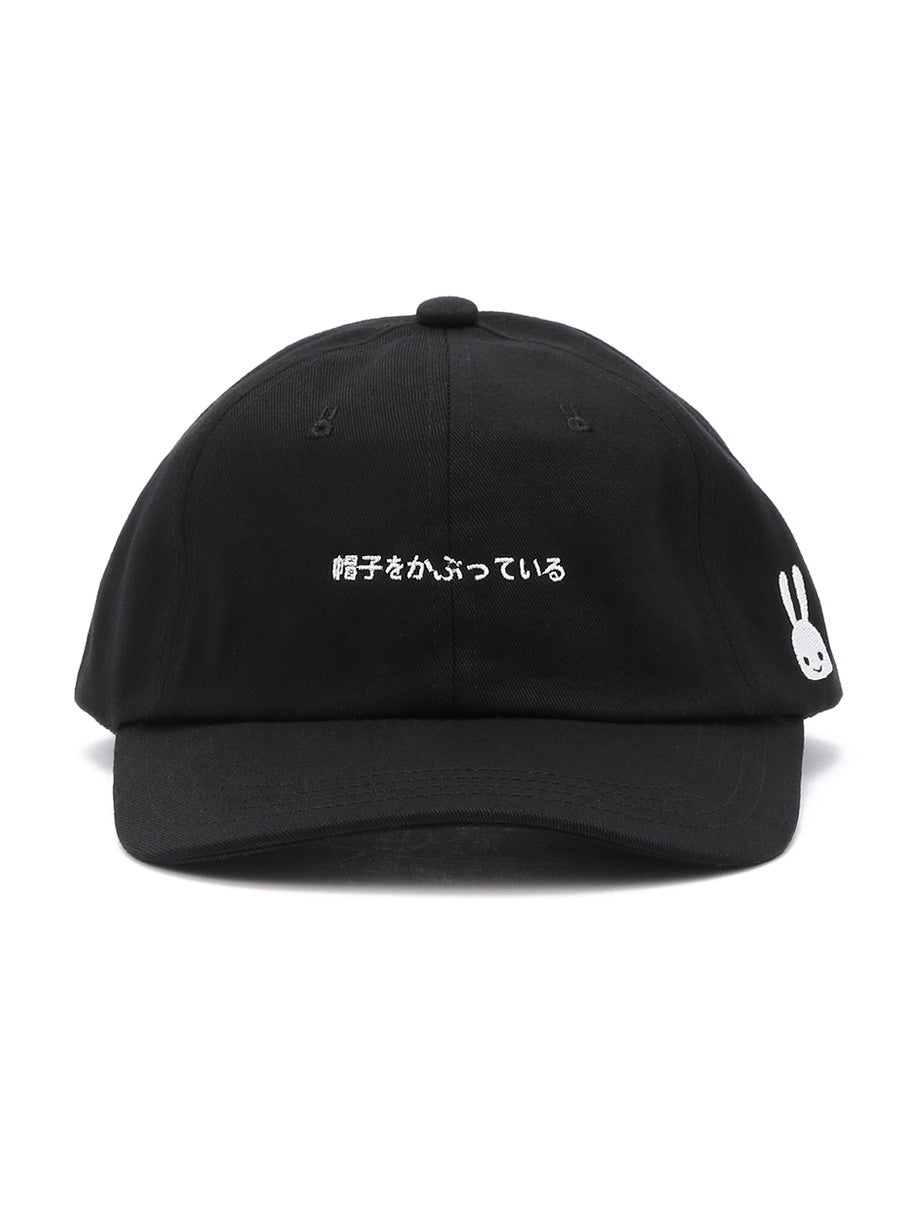 6Pキャップ 19A1