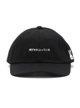 6Pキャップ 19A1