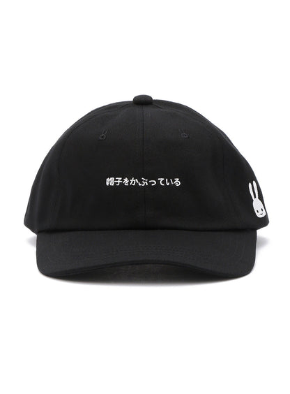 6Pキャップ 19A1
