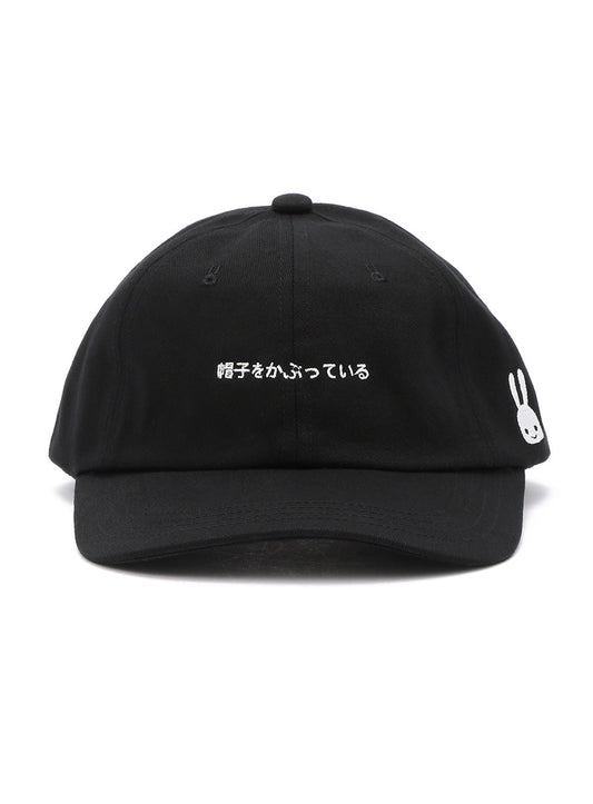 6Pキャップ 19A1