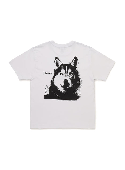 S/S Tee ハスキー