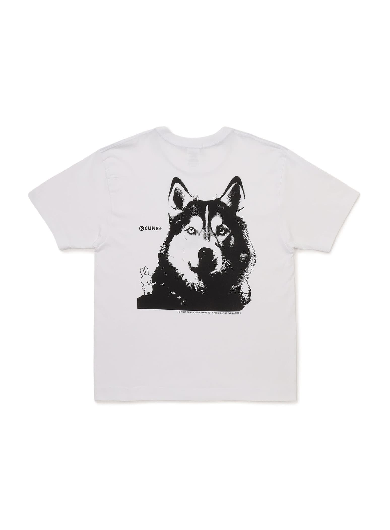 犬がいる – CUNE