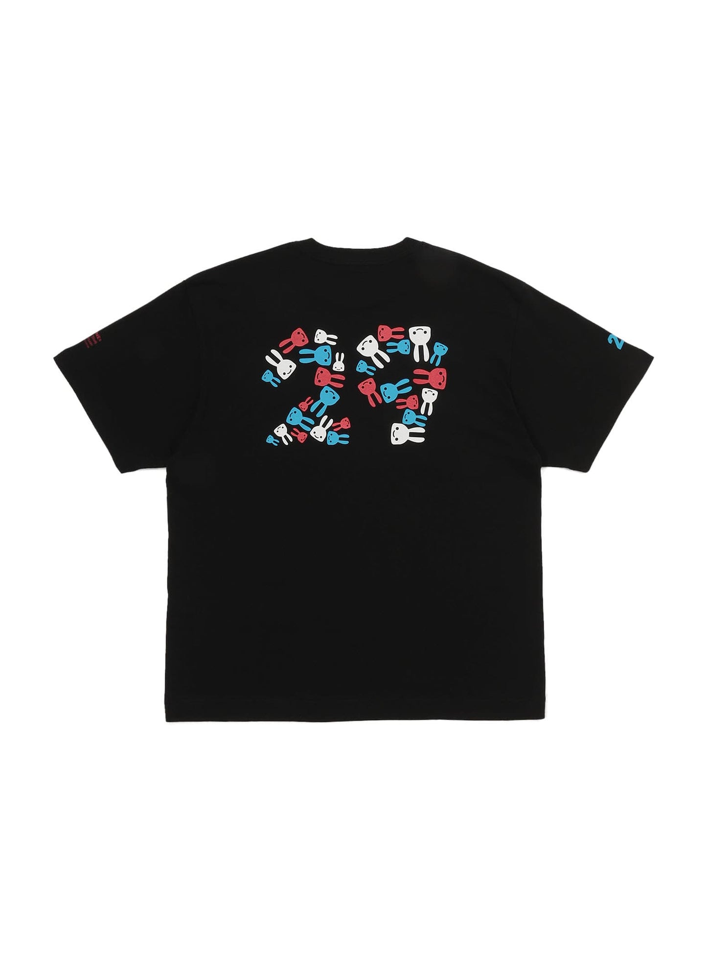 29th T-SHIRTS 29年前に洗った服