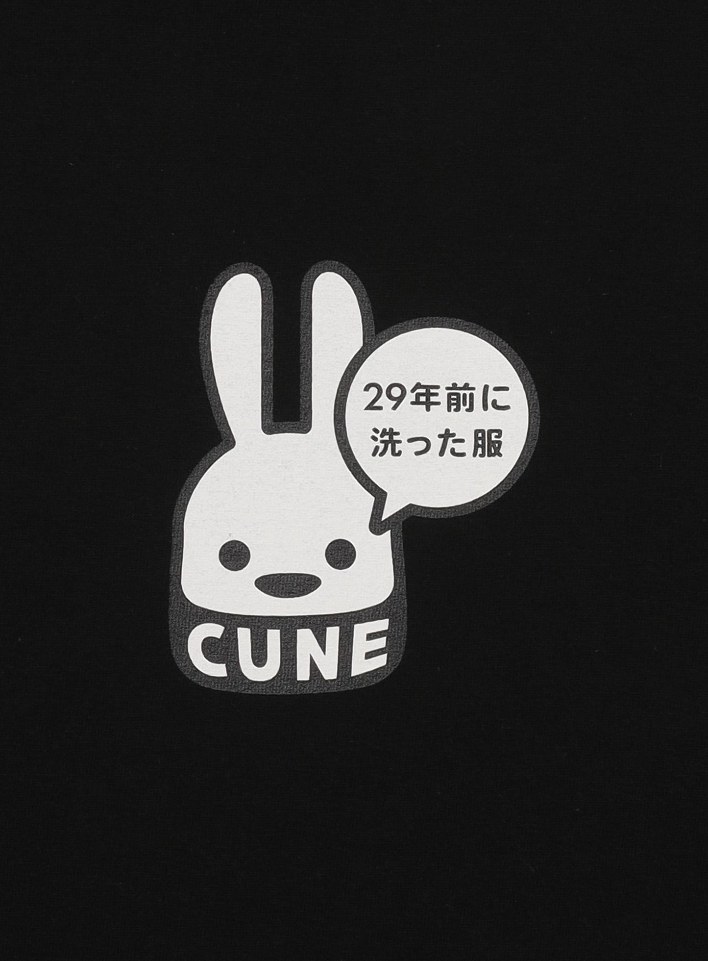 29th T-SHIRTS 29年前に洗った服