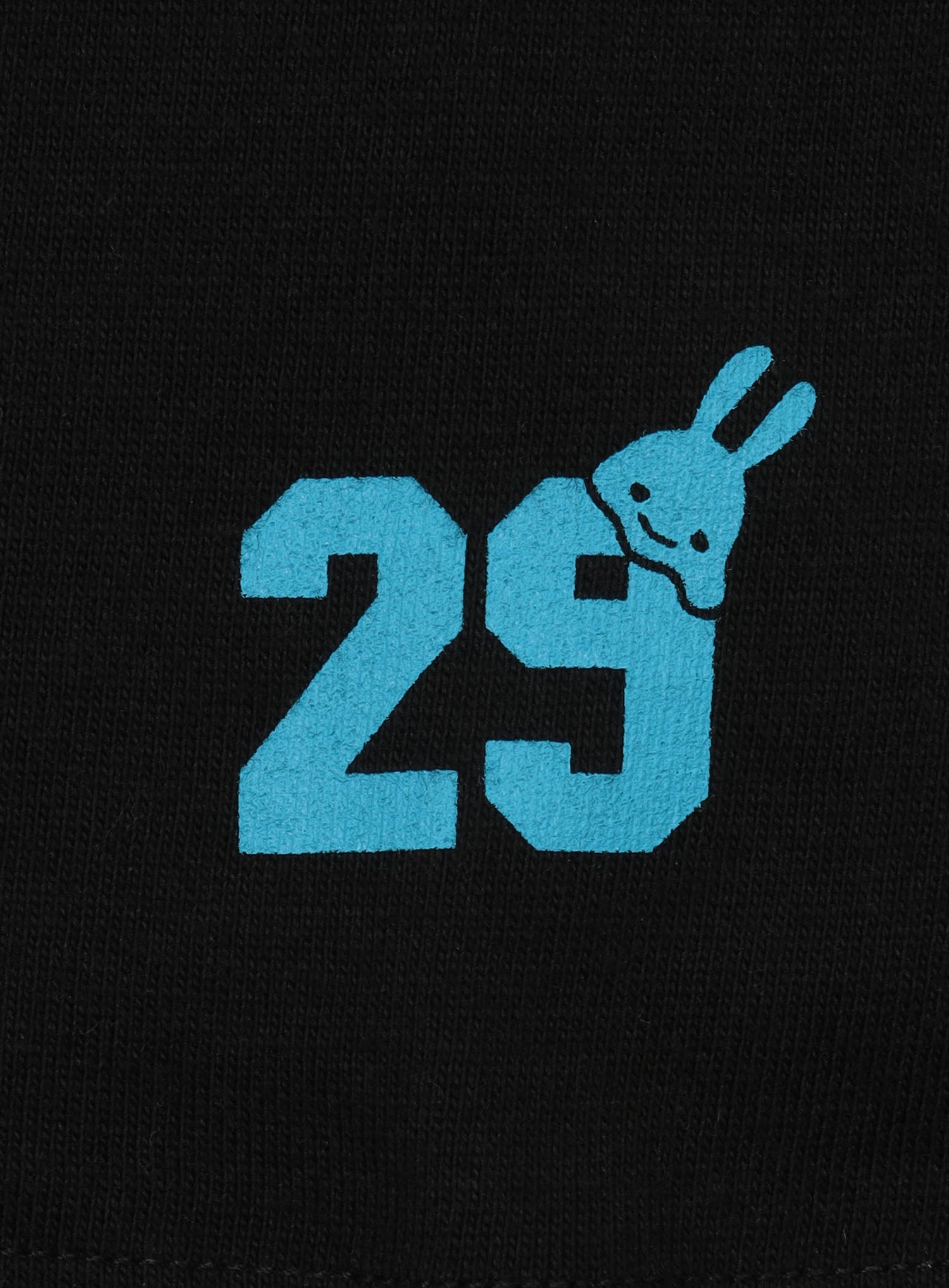 29th T-SHIRTS カゴ