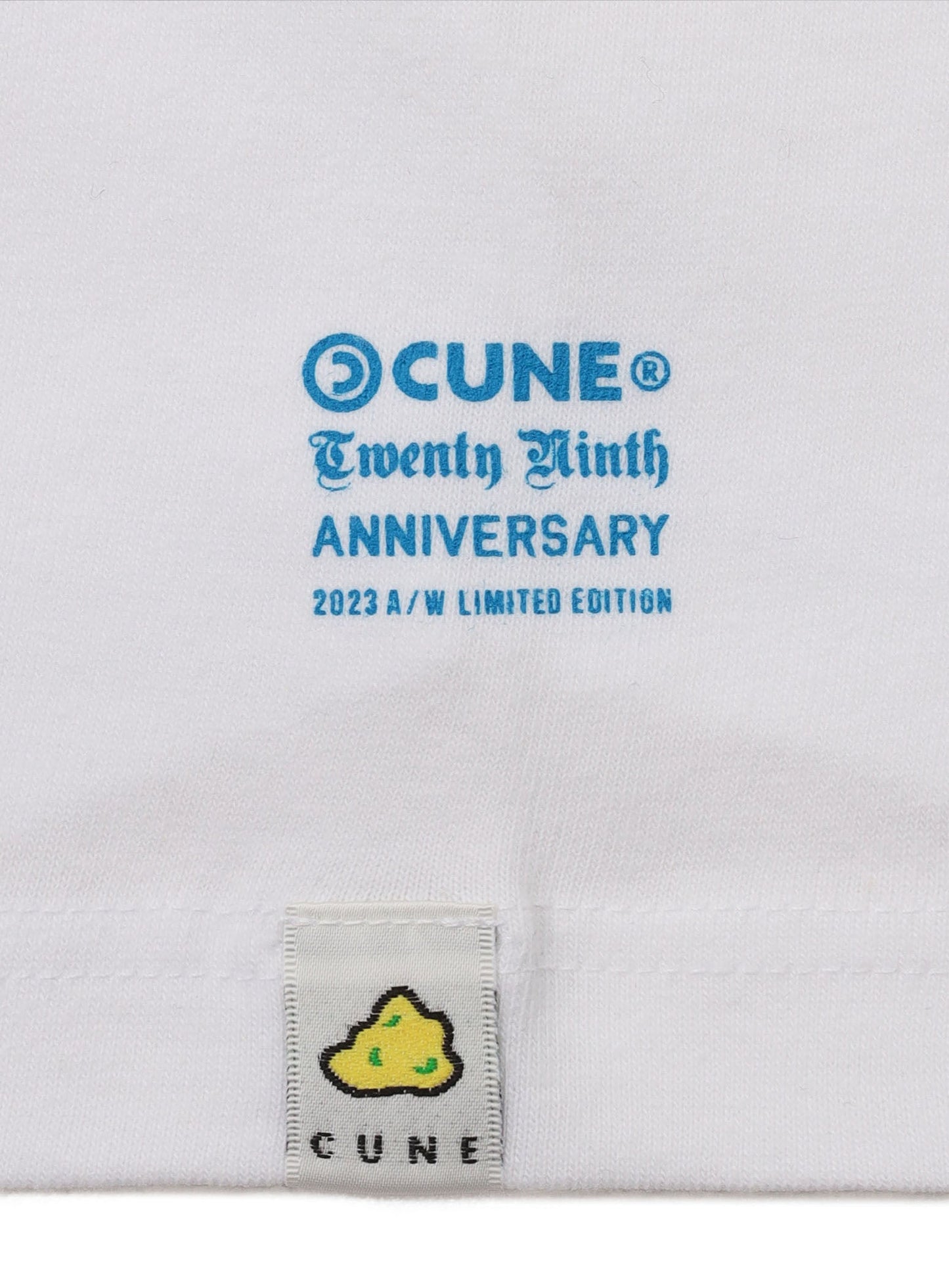 29th T-SHIRTS 指29本