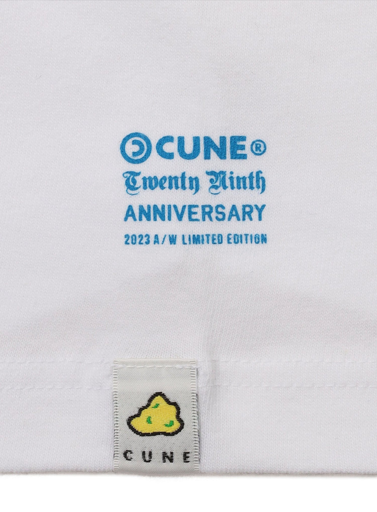 29th T-SHIRTS 指29本