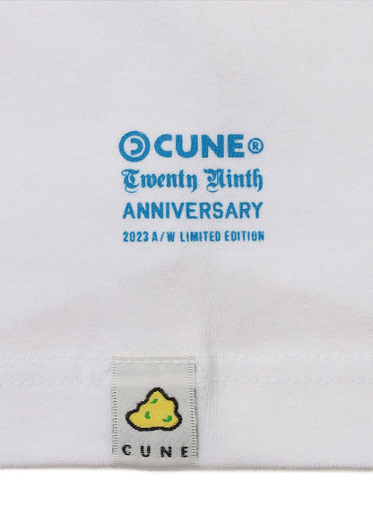 29th T-SHIRTS 指29本