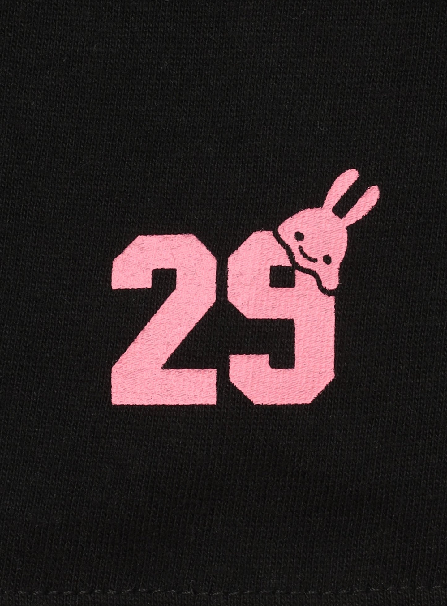 29th T-SHIRTS とんかつブタバコ