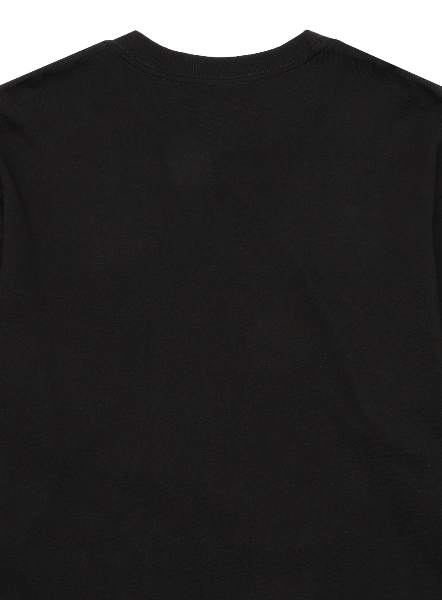 L/S Tee 溶ける