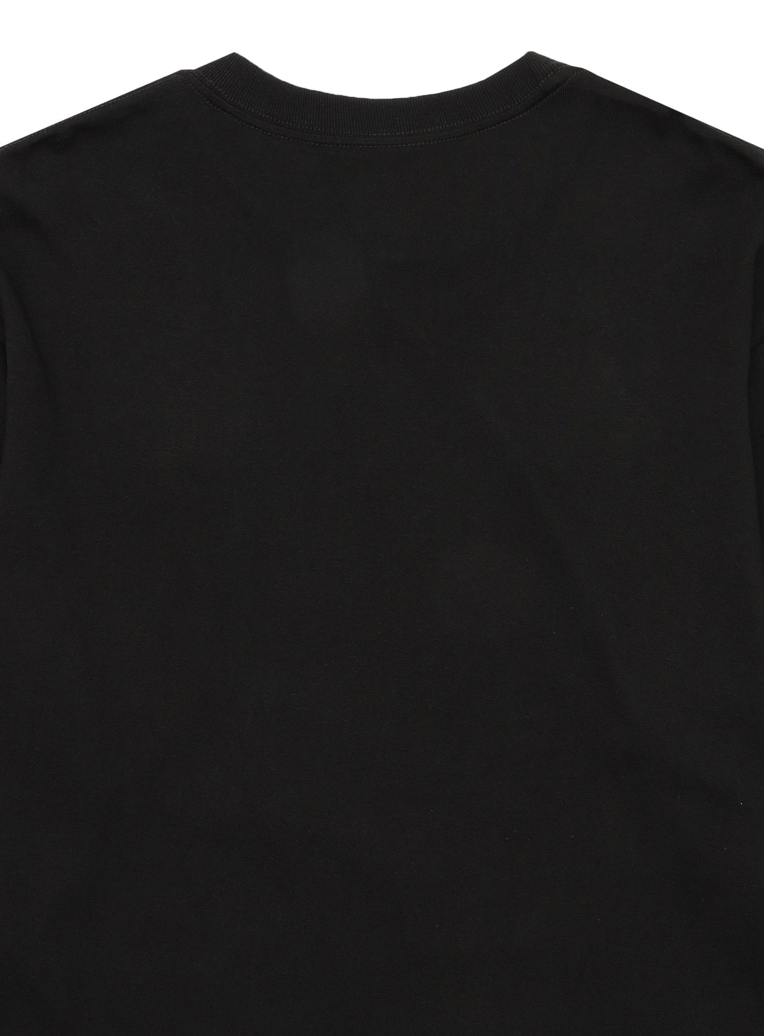L/S Tee 溶ける