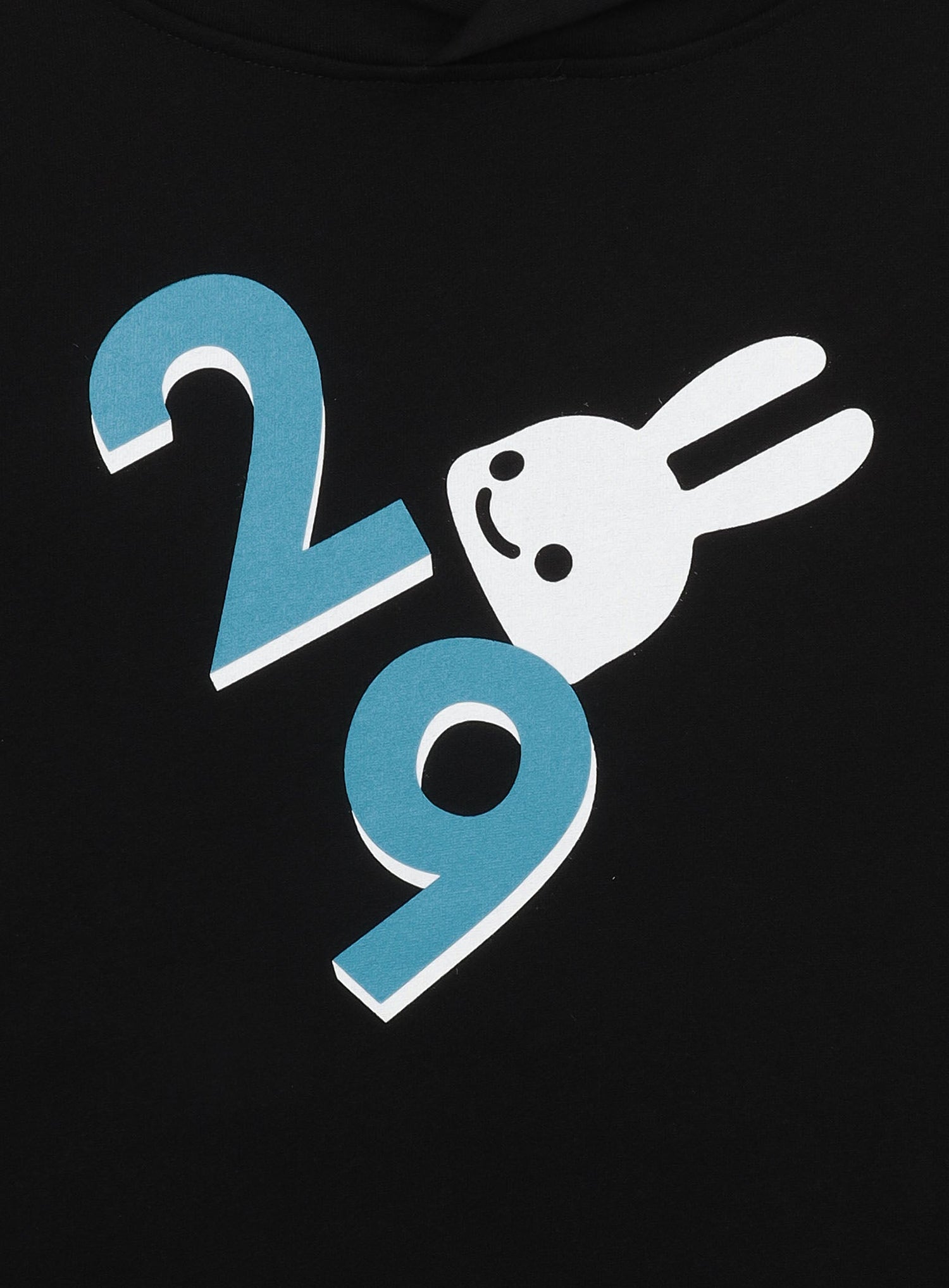 29th PULL PARKA カゴ